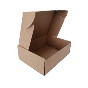 Mailing Cardboard Box-2