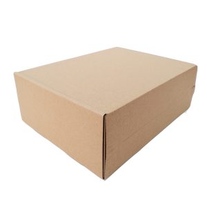 Shipping carton-2