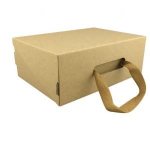 cardboard carry box-2