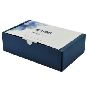 gift box with separate space insert-2