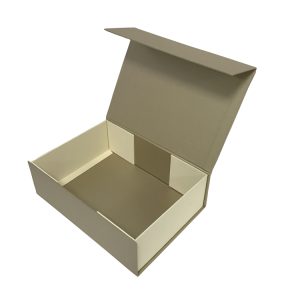 Corrugated Foldable Box Packaging-1