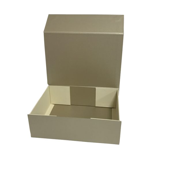 Corrugated Foldable Box Packaging-4