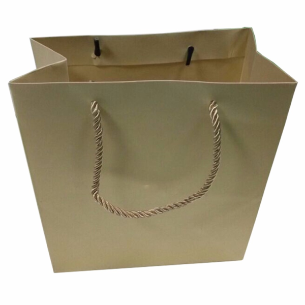 Custom Logo Luxury Gift Paper Bag-1
