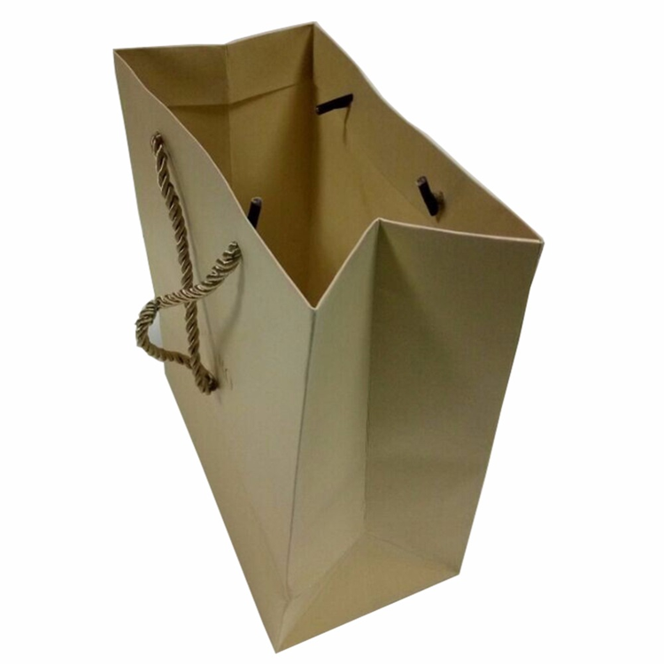 Custom Logo Luxury Gift Paper Bag-2