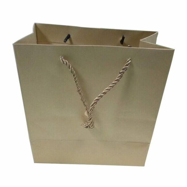 Custom Logo Luxury Gift Paper Bag-3