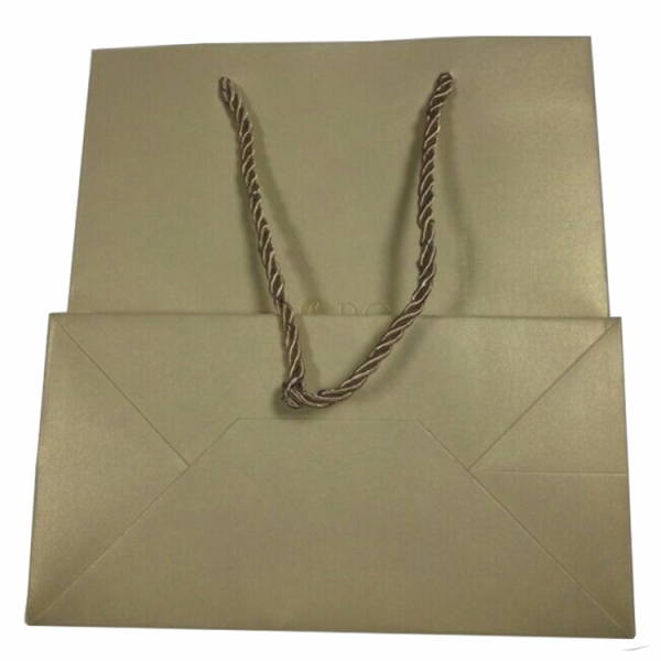 Custom Logo Luxury Gift Paper Bag-4