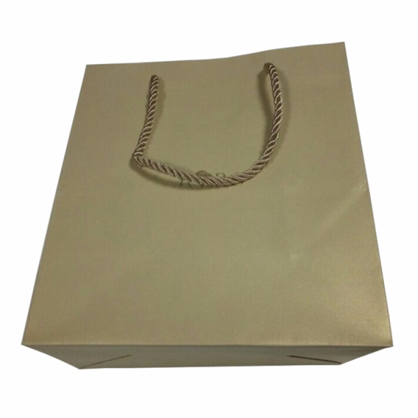 Custom Logo Luxury Gift Paper Bag-5