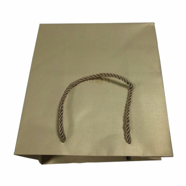 Custom Logo Luxury Gift Paper Bag-6