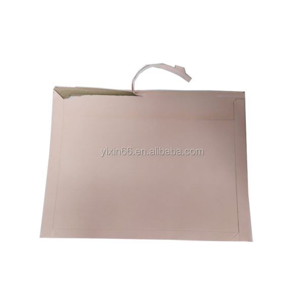 Custom Order Apparel Packing Envelopes-4