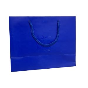 Luxury Paper Shopping Bag-1