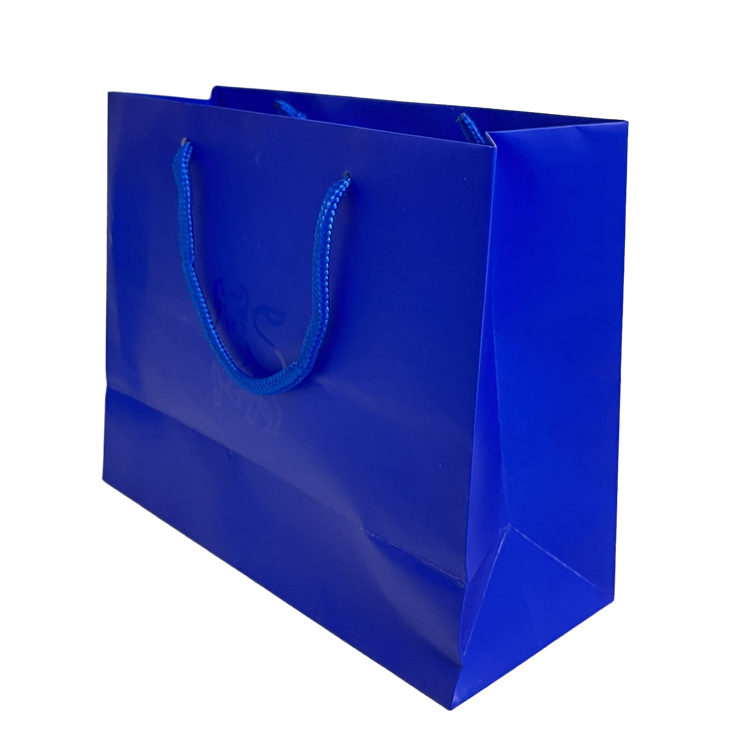 Luxury Paper Shopping Bag-2