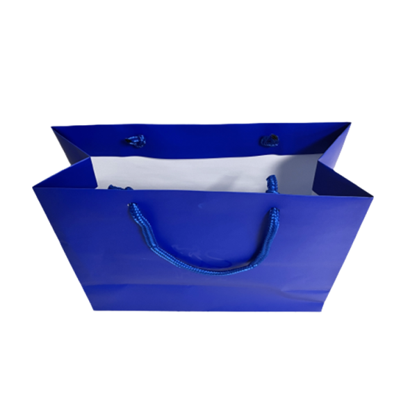 Luxury Paper Shopping Bag-3