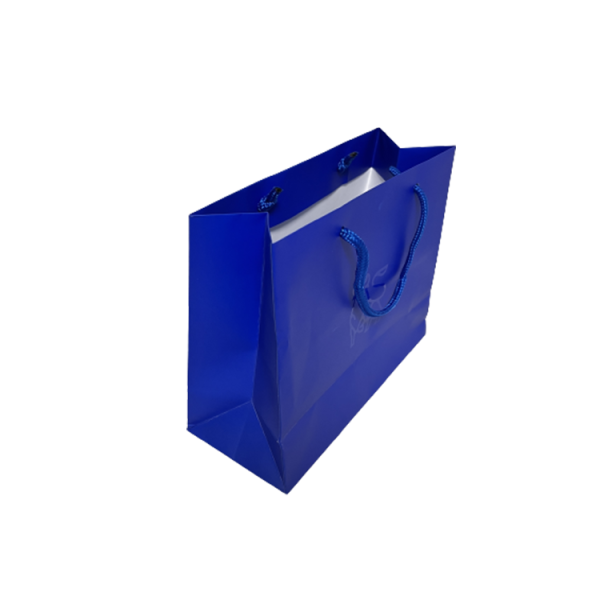 Luxury Paper Shopping Bag-4