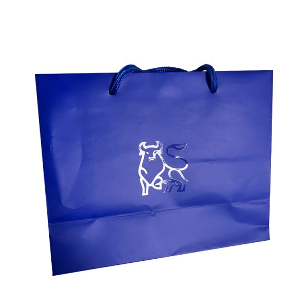 Luxury Paper Shopping Bag-5