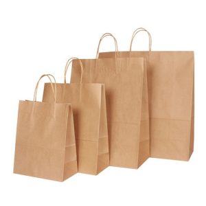 Paper Bag Price-1