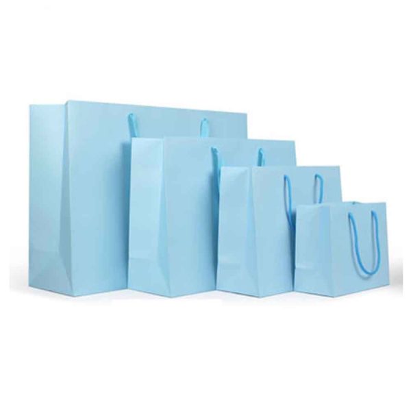 Paper Bag Wholesale-1