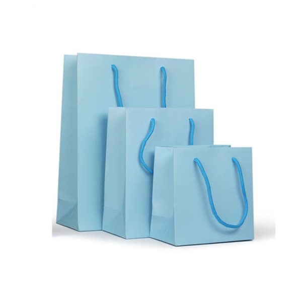 Paper Bag Wholesale-2