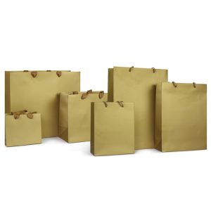 Paper Bag With Handle-1