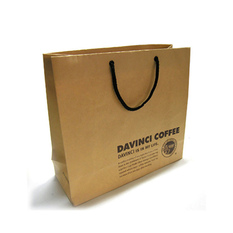 Paper Bag With Handle-2