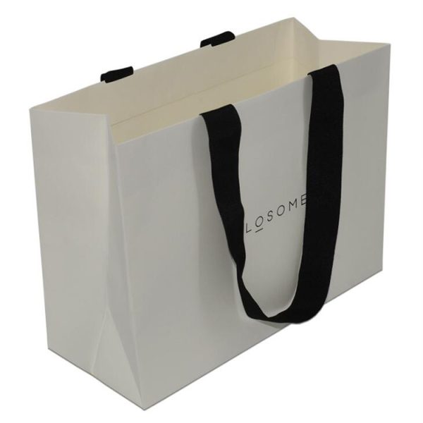 Paper Bag With Ribbon Handle-1