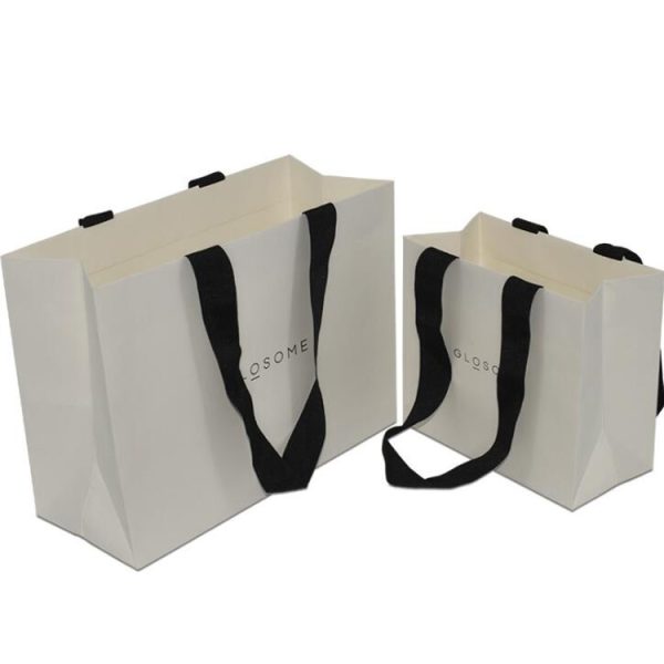 Paper Bag With Ribbon Handle-2