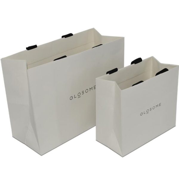 Paper Bag With Ribbon Handle-3