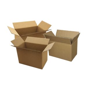 Carton Box Packaging-1