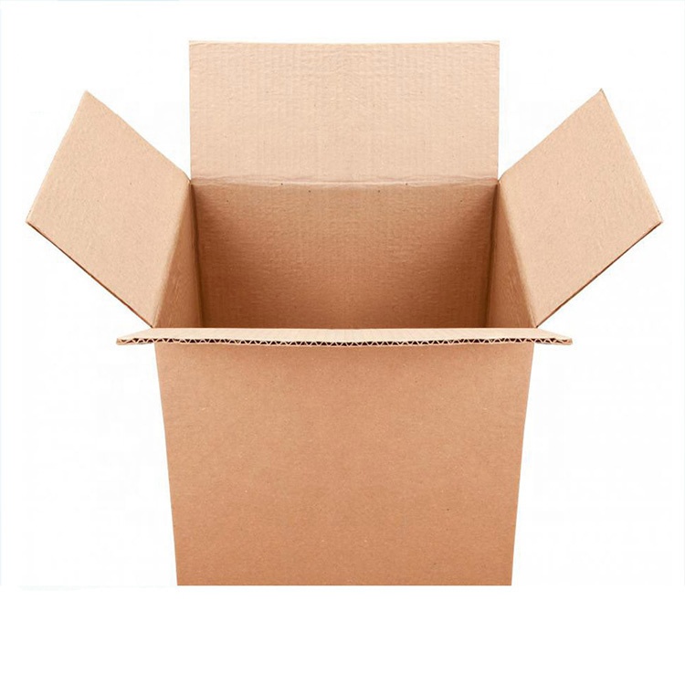Carton Box Packaging-2