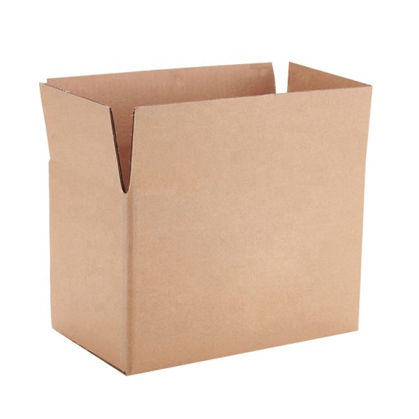 Carton Box Packaging-3