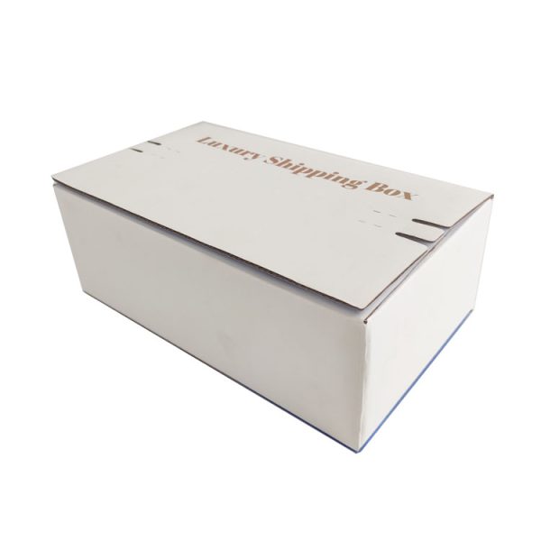 Carton Box Shipping Boxes 12x12-4