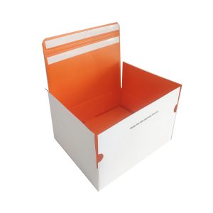 Carton Tuck Top Mail Box-1