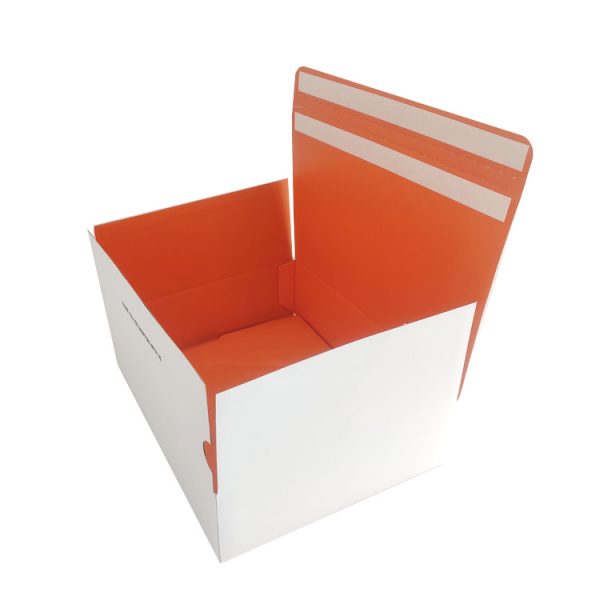 Carton Tuck Top Mail Box-3