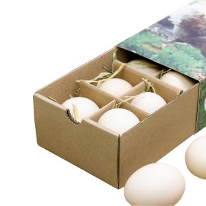 Eggs Paper Boxes-1