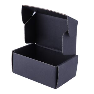 Foldable Shoe Box-1