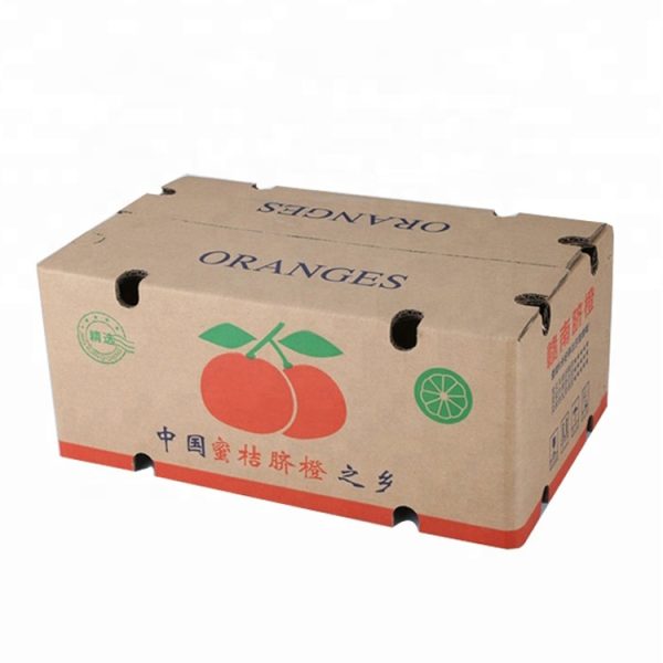 Fresh Fruit Corrugated Box Packaging-6