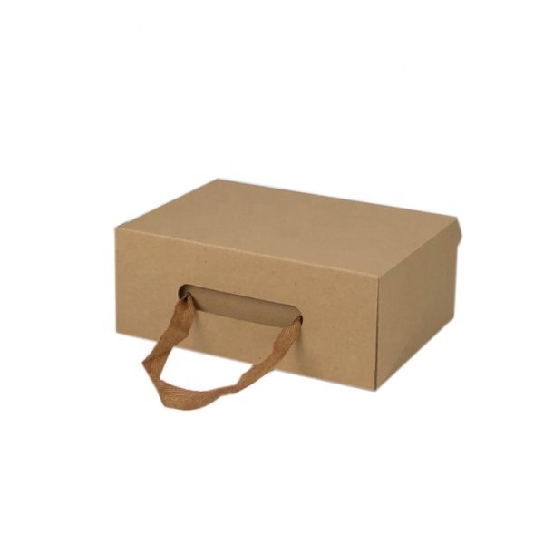 Shoe Box With Handle-4